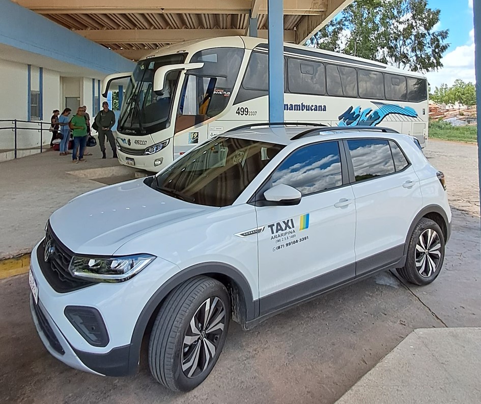 Motorista Profissional